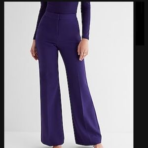 Express Elegant Purple Wide Leg Pants